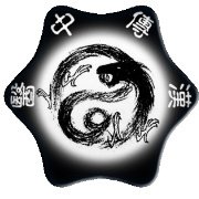 《汉传中医释名》——汉传中医与魏晋隋唐中医